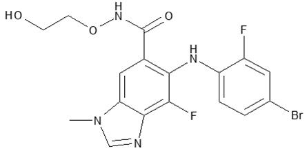 Mektovi